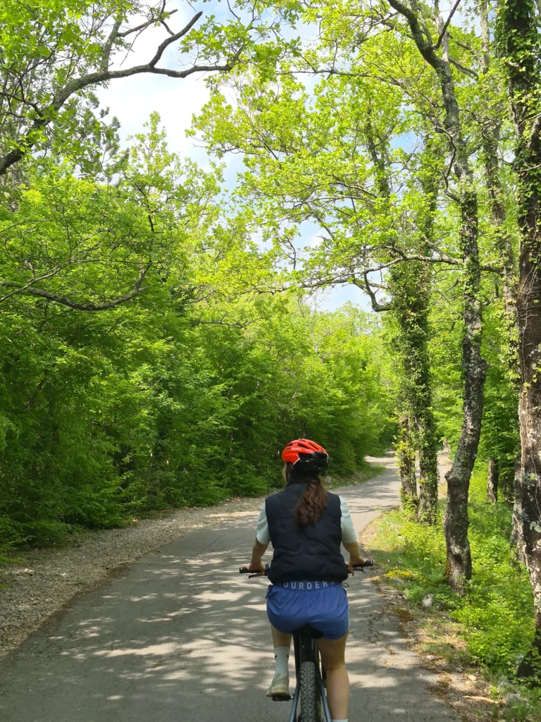 E-Bike ride in the woods Crikvenica