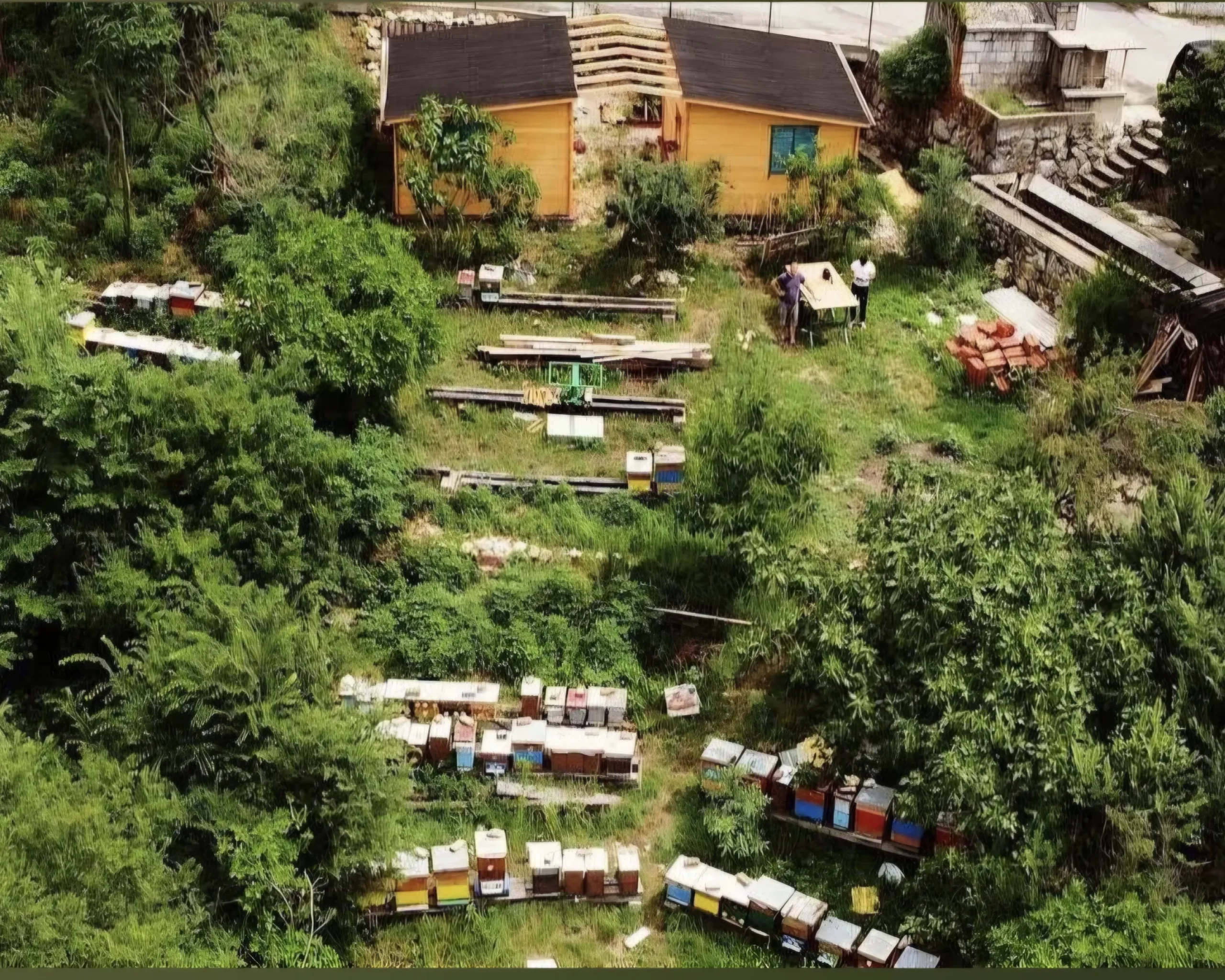 Bees garden in Crikvenica